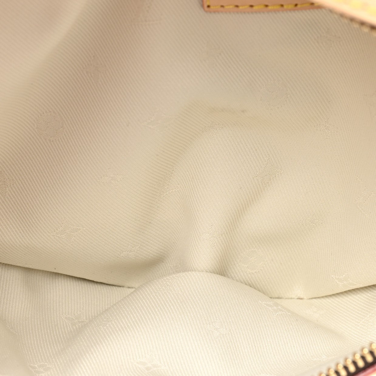 Monogram High Rise Bumbag