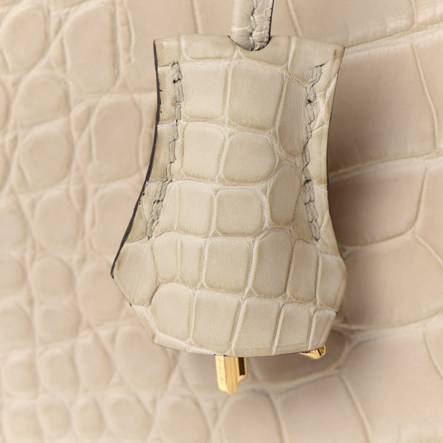 Matte Alligator Birkin 25 Trench