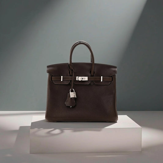Barenia Faubourg Birkin 25 Ebene