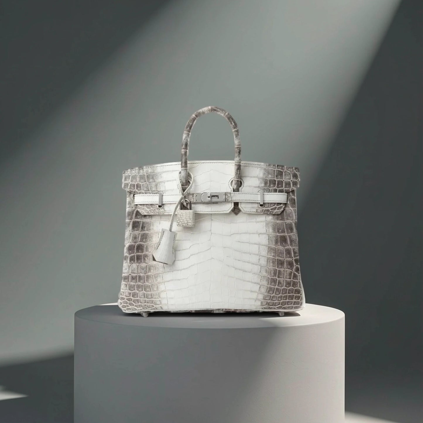Matte Niloticus Crocodile Himalaya Birkin 25 Blanc
