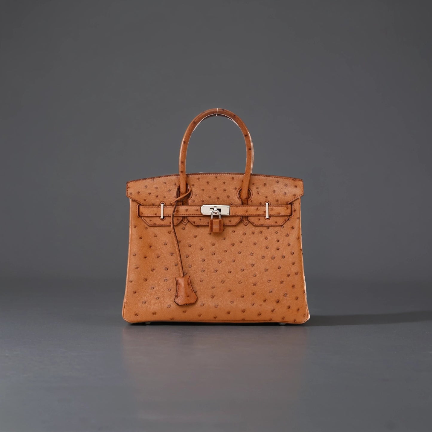 Ostrich Birkin 25 Gold Leather